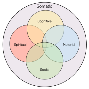 Somatic Technology Human Technologies in IB Schools